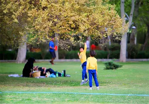 هشدار درباره سلامت روان ایرانی‌ها؛ آمارها چه می‌گویند؟
