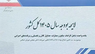 کلیات لایحه بودجه ۱۴۰۵ تصویب شد