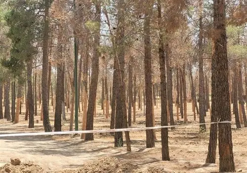 
کاهش دمای سه روزه در تهران
