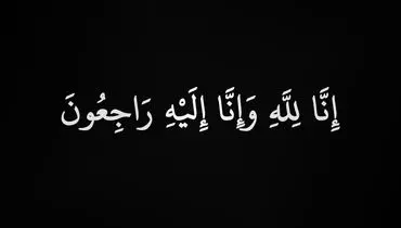 فرزند وزیربهداشت سابق به شهادت رسید