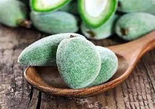 پوست این میوه به درد روده‌ ها می خورد