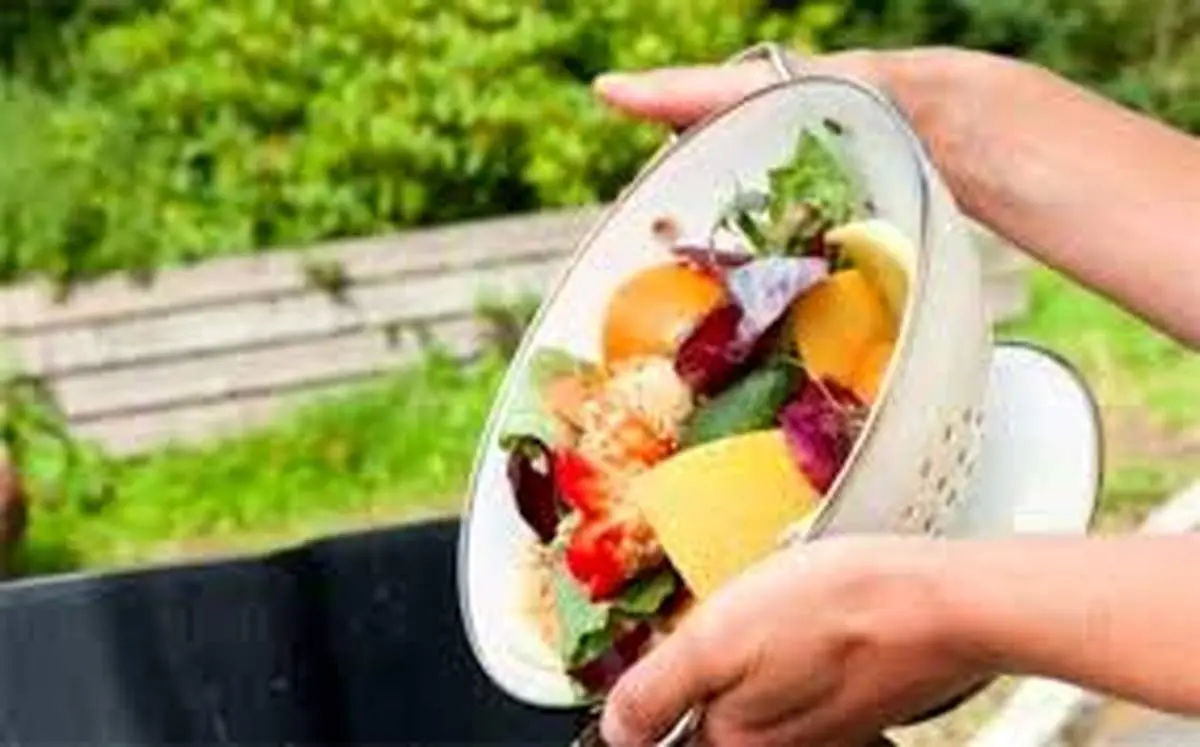 روش برای کاهش اسراف مواد غذایی
