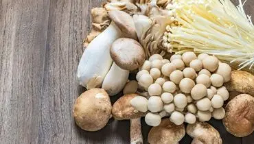 قارچ منبع غنی ویتامین دی 
