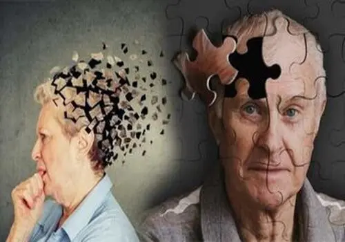 ویتامین B۱۲؛ کلید سلامت مغز یا یک نگرانی پنهان؟