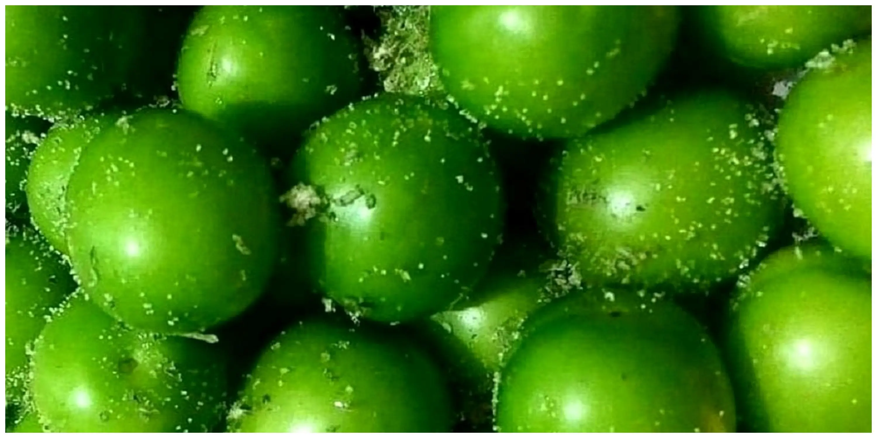 خواص شگفت انگیز گوجه سبز که از آن اطلاع ندارید