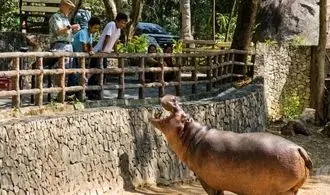 باغ وحشی که حیواناتش آهنی هستند! + تصاویر