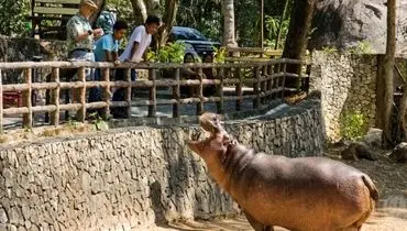 باغ وحشی که حیواناتش آهنی هستند! + تصاویر