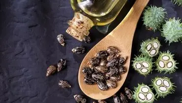 خواص روغن کرچک برای سلامتی بدن