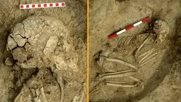 کشف بقایای انسان ۶۰۰۰ ساله قربانی حمله شیر + عکس