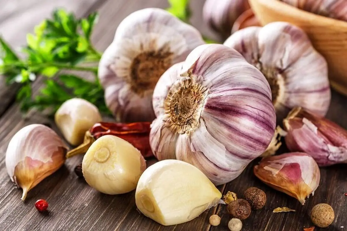 رفع بوی سیر دهان با این روش سریع