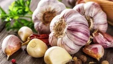 ناشتا سیر خام بخوریم وزن مان کاهش می یابد؟؛ پاسخ علمی به این باور
