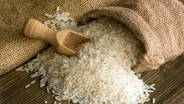 چگونه برنج مرغوب را از تقلبی تشخیص دهیم؟ ۱۰ روش کاربردی