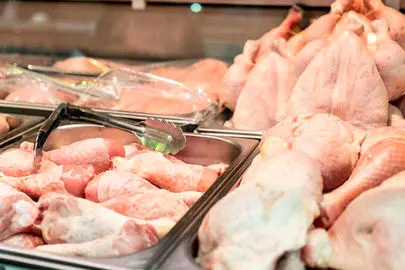 محدودیت خروج مرغ زنده از استان‌ها لغو شد؛ بازار مرغ در مسیر ثبات