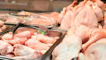 محدودیت خروج مرغ زنده از استان‌ها لغو شد؛ بازار مرغ در مسیر ثبات