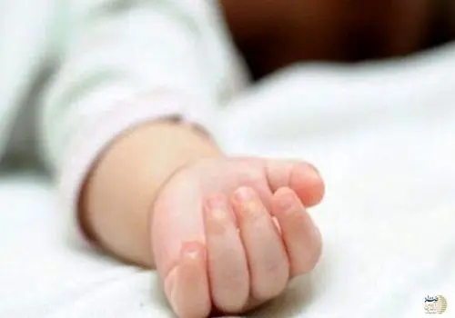 در هفته چندبار ماهی بخوریم تا امگا ۳ بدن تامین شود؟