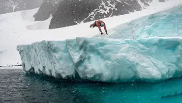 چالش دیوانه وار شنا در قطب جنوب!+ فیلم