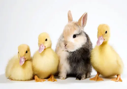 ۵ تمرین برای آماده سازی خود برای موفقیت در سال جدید