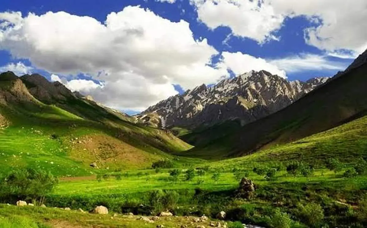 ثبت تصاویر تماشایی از همزیستی خرس‌های قهوه‌ای و کل‌وبزها در اشترانکوه+فیلم