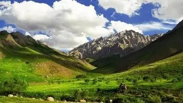 ثبت تصاویر تماشایی از همزیستی خرس‌های قهوه‌ای و کل‌وبزها در اشترانکوه+فیلم