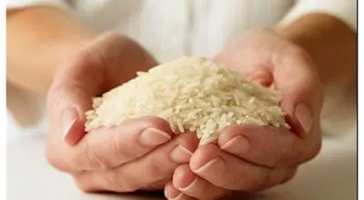 شرط ارزان شدن برنج ایرانی