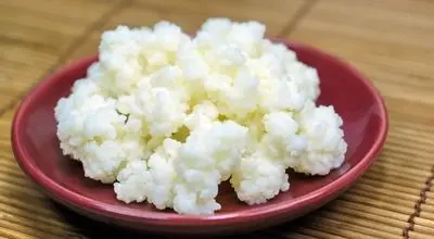 فواید شگفت‌انگیز کفیر؛ از گوارش بهتر تا کند شدن پیری

