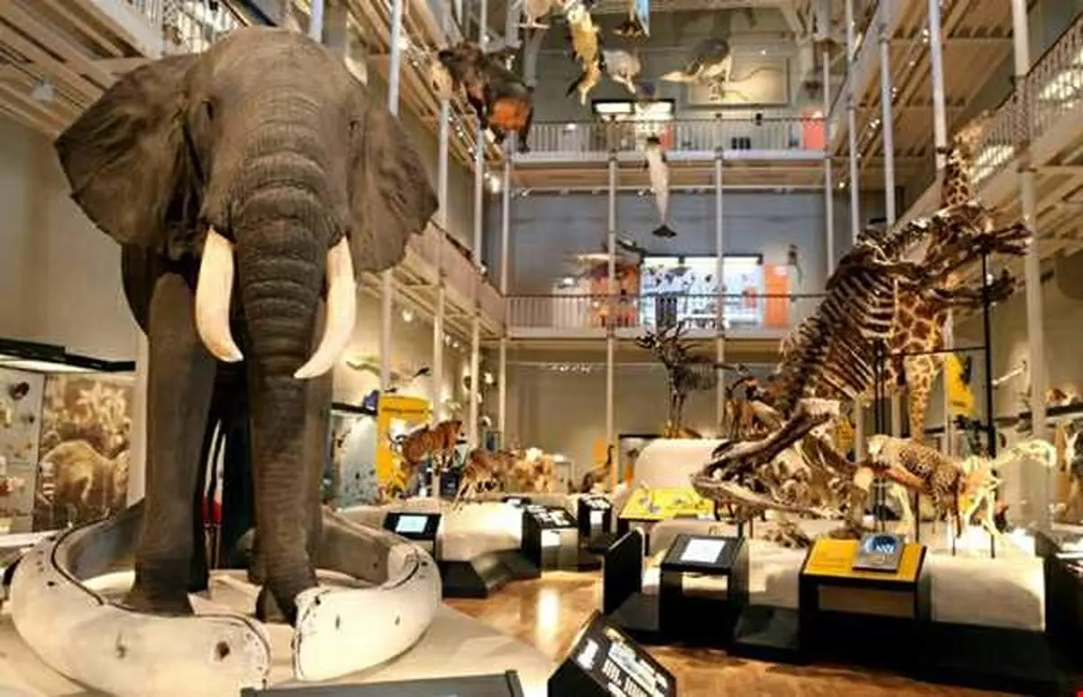 موزه ملی اسکاتلند کجاست ؟
