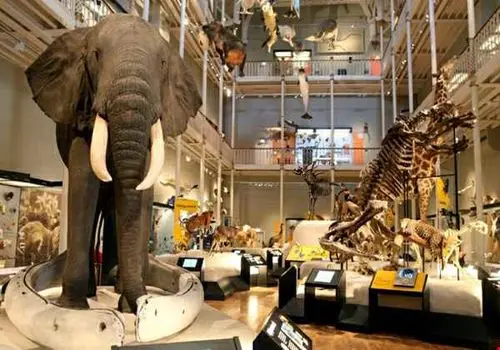 موزه ملی اسکاتلند کجاست ؟
