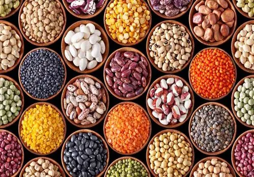 کاهش قیمت حبوبات/ برنج ایرانی در بنکداری ۲۱۰ تا ۳۲۰ هزار تومان
