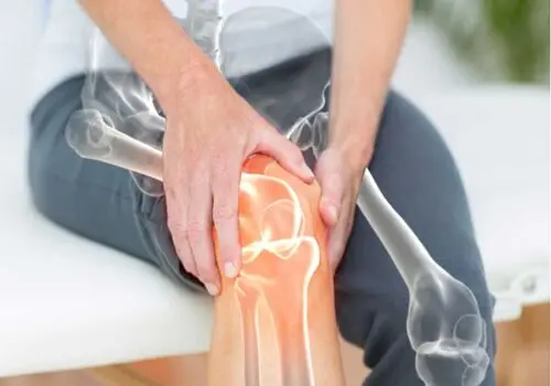 تقویت استخوان‌ها با یک خوراکی ساده و شیرین