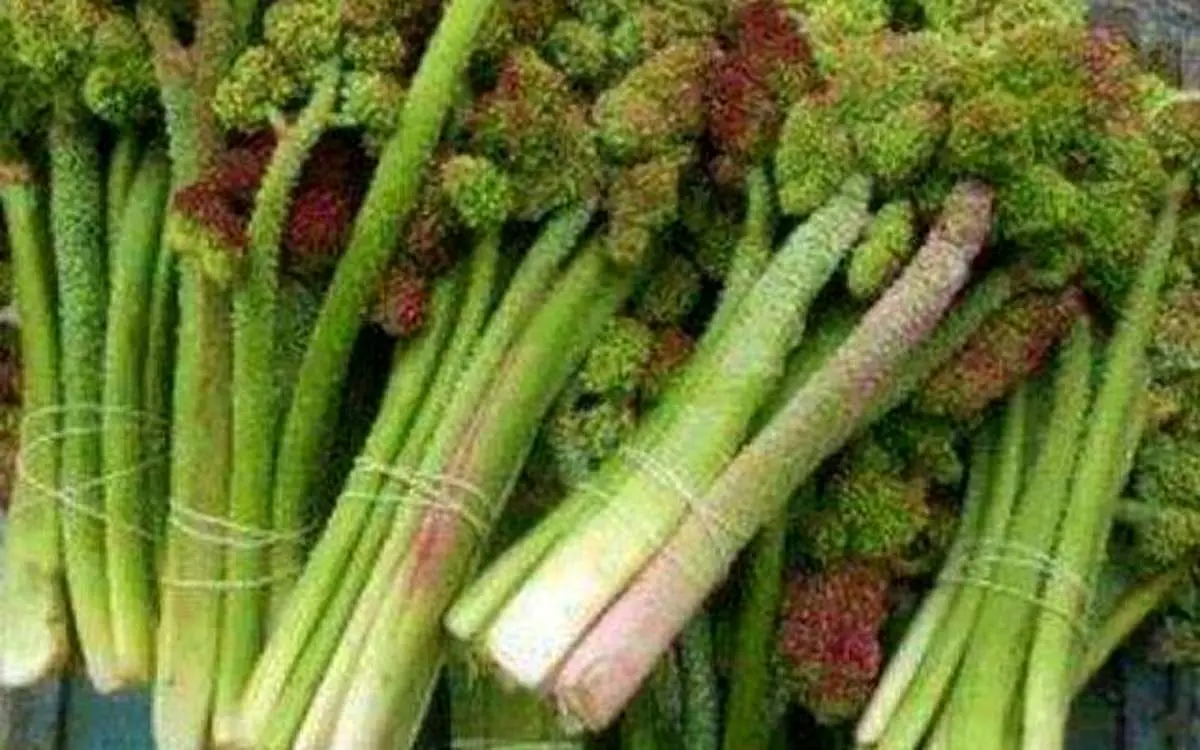 این سبزی، معجزه ای برای بهبود دستگاه گوارش است+ فیلم