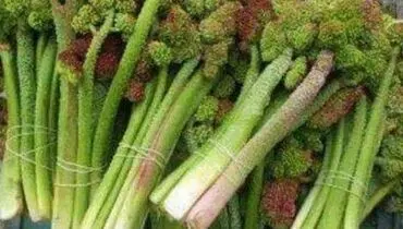 این سبزی، معجزه ای برای بهبود دستگاه گوارش است+ فیلم