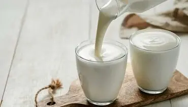 چند تصور غلط درباره شیر که باید آنها را کنار بگذاریم