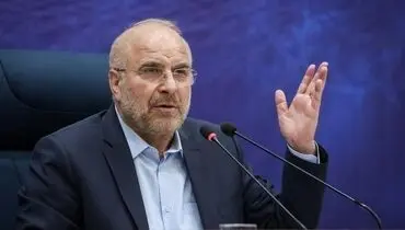 شهید سیدرضی یک مجاهد بیست‌وچهارساعته در تمام این بیش از سه‌دهه بود
