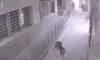 تصاویری تازه از لحظه انفجار در بیمارستان شهدای خلیج‌فارس بوشهر