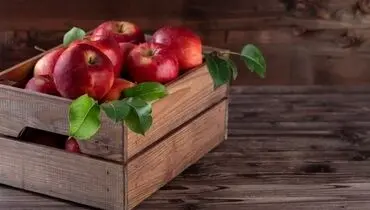چرا باید هر روز یک سیب بخورید؟ راز سلامتی در دستان شما