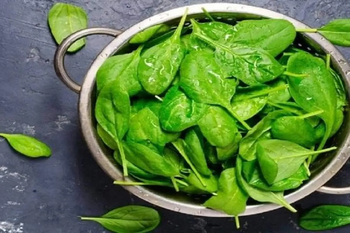 اسفناج و کلم پیچ؛ راز جوانی مغز و بد
