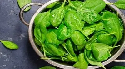 اسفناج و کلم پیچ؛ راز جوانی مغز و بد
