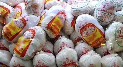 توزیع مرغ منجمد با نرخ ۱۲۵ هزار تومان در تهران آغاز شد