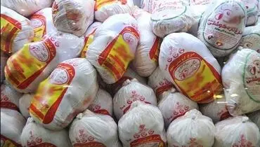 توزیع مرغ منجمد با نرخ ۱۲۵ هزار تومان در تهران آغاز شد