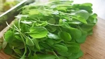 پنج خاصیت بی‌نظیر این سبزی که نمی دانستید!