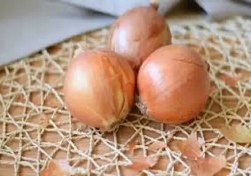 تاثیر مصرف کشک در کنترل قند خون