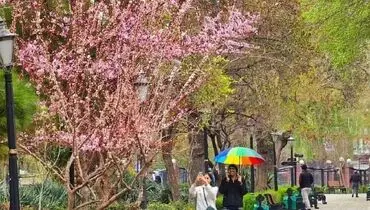 حال و هوای بهاری پارک شهر تهران