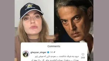 حمله خواننده لس‌آنجلسی به سخنان مهناز افشار