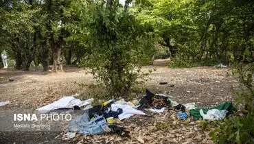 سیزده فروردین روز آشتی با طبیعت یا زخم زدن بر محیط زیست؟!