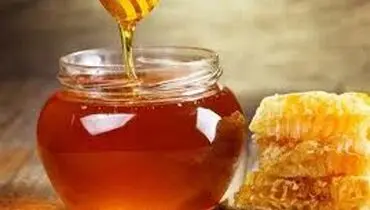 فرق عسل طبیعی با عسل وحشی چیست؟
