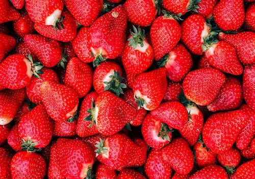 طرز تهیه یخمک توت‌فرنگی؛ دسر تابستانی ساده و فوری