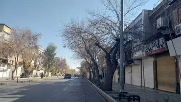 وضعیت امروز بازار شیراز به روایت ایسنا
