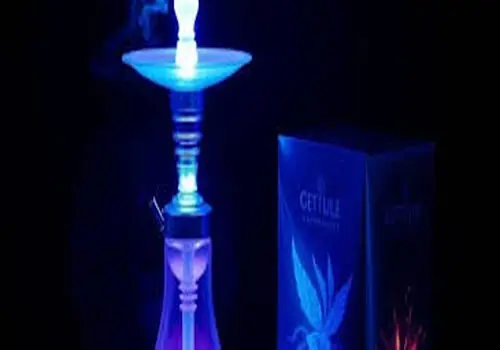 شرایط نگهداری انگور در سردخانه
