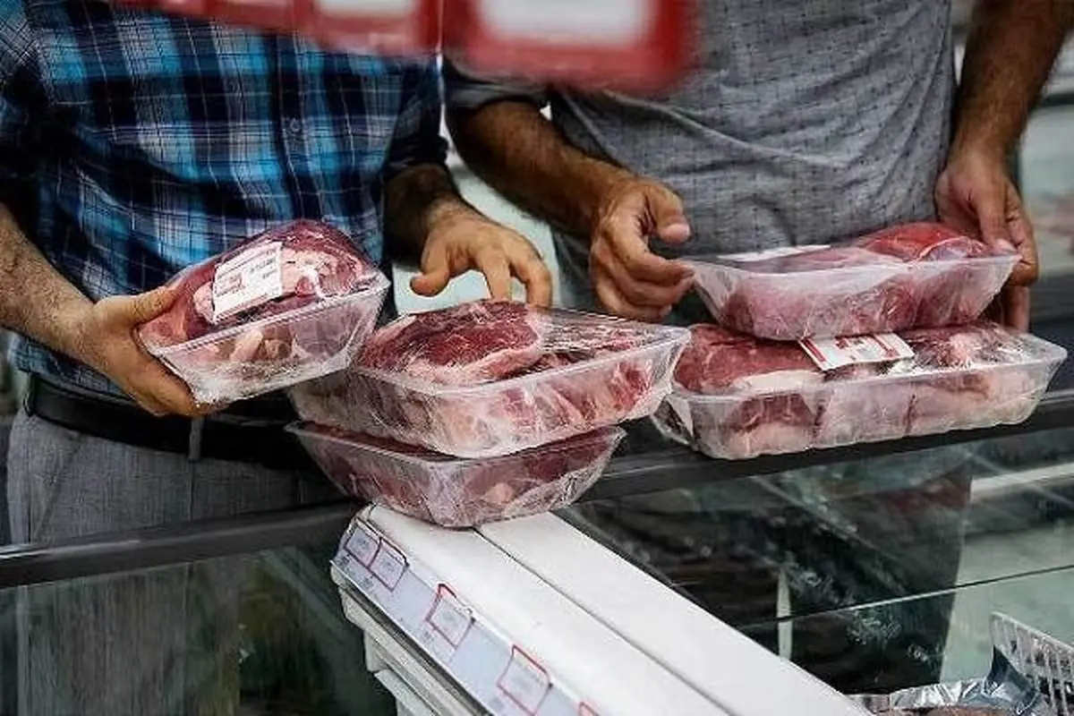 آغاز عرضه گوشت وارداتی با قیمت زیر۷۰۰تومان؛ گزینهای ارزانتر برای بازار پرنوسان