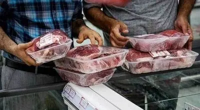 آغاز عرضه گوشت وارداتی با قیمت زیر۷۰۰تومان؛ گزینهای ارزانتر برای بازار پرنوسان
